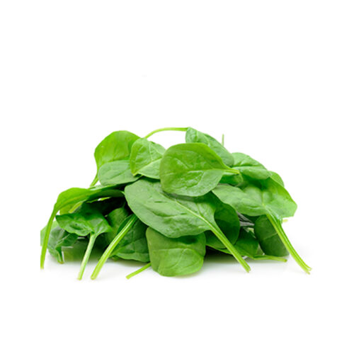 Frozen Spinach Leaves